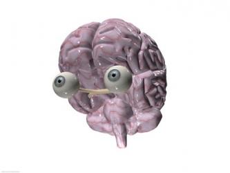 Close-up of a human brain with eye balls | Obraz na stenu