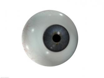 Close-up of the human eyeball | Obraz na stenu