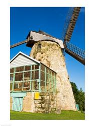Traditional windmill at a sugar mill, Morgan Lewis Sugar Mill, Scotland District, Barbados | Obraz na stenu