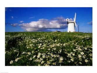 Ballycopeland Windmill, Millisle, Northern Ireland | Obraz na stenu
