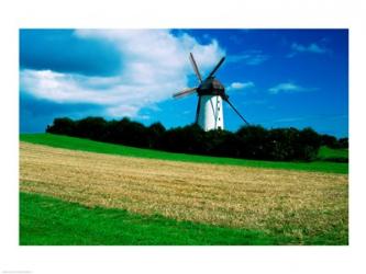 Traditional windmill in a field, Skerries Mills Museum, Skerries, County Dublin, Ireland | Obraz na stenu