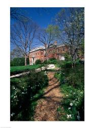 Trees in a garden, Dumbarton Oaks House, Georgetown, Washington DC, USA | Obraz na stenu