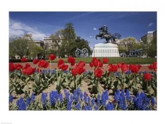 Andrew Jackson Statue, Washington D.C., USA | Obraz na stenu