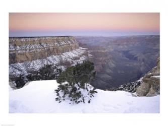 High angle view of a tree on a snow covered mountain, South Rim, Grand Canyon National Park, Arizona, USA | Obraz na stenu