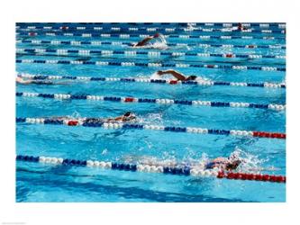 High angle view of people swimming in a swimming pool, International Swimming Hall of Fame, Fort Lauderdale, Florida, USA | Obraz na stenu