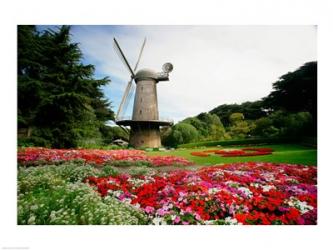 Low angle view of a windmill in a park, Golden Gate Park, San Francisco, California, USA | Obraz na stenu