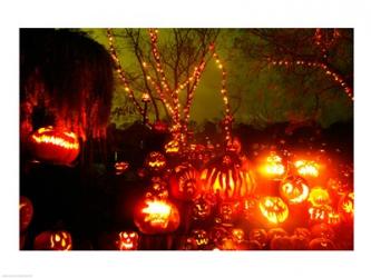 Jack o' lanterns lit up at night, Roger Williams Park Zoo, Providence, Rhode Island, USA | Obraz na stenu