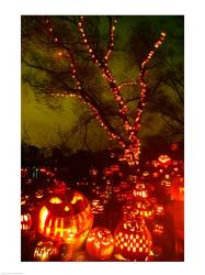 Jack o' lanterns lit up at night, Roger Williams Park Zoo, Providence, Rhode Island, USA | Obraz na stenu