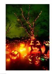 Jack o' lanterns lit up at night, Roger Williams Park Zoo, Providence, Rhode Island, USA | Obraz na stenu