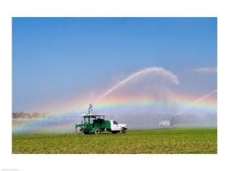 Rainbow seen under the spray from sprinkler in a vegetable field, Florida, USA | Obraz na stenu