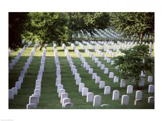 Arlington National Cemetery Arlington Virginia USA | Obraz na stenu