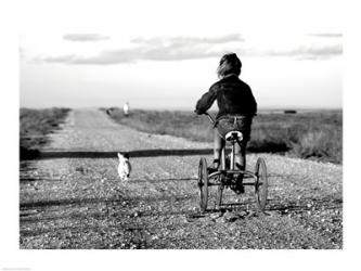 Rear view of a girl riding a bicycle | Obraz na stenu