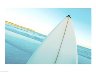 Close-up of a surfboard, Fishery Bay, Australia | Obraz na stenu