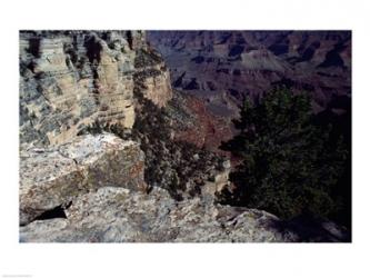 Grand Canyon National Park  Arizona USA | Obraz na stenu