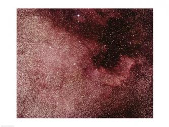 North America Nebula In Cygnus | Obraz na stenu