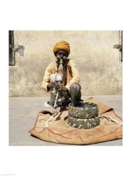 Snake Charmer Jaipur India | Obraz na stenu