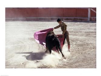 Matador fighting with a bull, Spain | Obraz na stenu