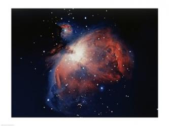 Orion Nebula | Obraz na stenu