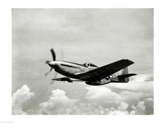 Low angle view of a military airplane in flight, F-51 Mustang | Obraz na stenu