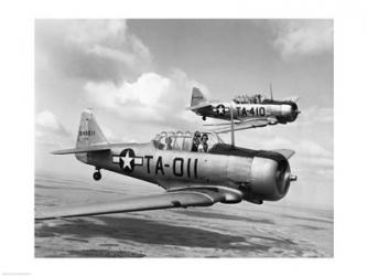 Side profile of two fighter planes in flight, AT-6 Texan | Obraz na stenu