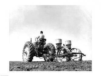 Low Angle View of a Farmer Planting Corn with a Tractor in a Field | Obraz na stenu