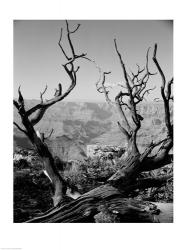 USA, Arizona, Grand Canyon, Colorado River seen from South Rim | Obraz na stenu