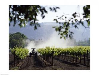 Tractor in a field, Napa Valley, California, USA | Obraz na stenu