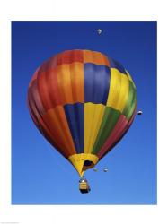 Hot air balloons rising, Albuquerque International Balloon Fiesta, Albuquerque, New Mexico, USA | Obraz na stenu