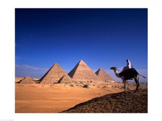 Riding a camel near pyramids, Giza Pyramids, Giza, Egypt | Obraz na stenu