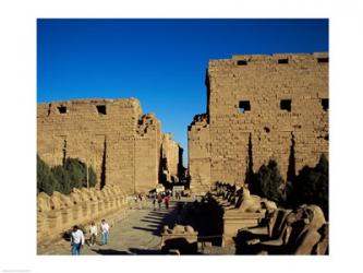 Avenue of Sphinxes, Temples of Karnak, Luxor, Egypt | Obraz na stenu