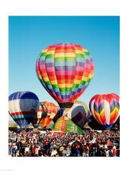 Hot air balloons taking off, Albuquerque International Balloon Fiesta, Albuquerque, New Mexico, USA | Obraz na stenu