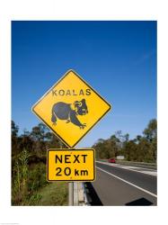 Koala sign on the road, Queensland, Australia | Obraz na stenu