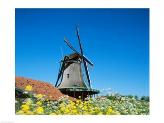 Windmill, Zaanse Schans, Netherlands | Obraz na stenu