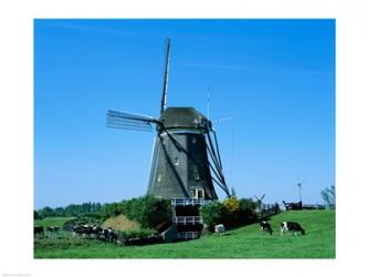 Windmill and Cows, Wilsveen, Netherlands | Obraz na stenu