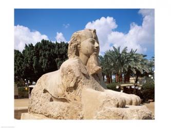 Alabaster Sphinx, Memphis, Egypt | Obraz na stenu
