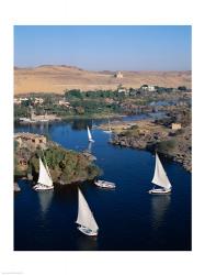 Feluccas on the Nile River, Aswan, Egypt | Obraz na stenu