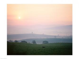 Sunrise near Hawes, Yorkshire Dales National Park, North Yorkshire, England | Obraz na stenu