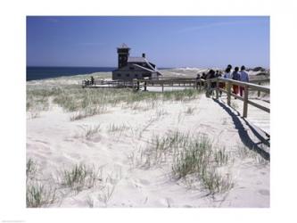 Cape Cod National Seashore Massachusetts USA | Obraz na stenu