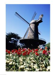 Low angle view of a traditional windmill, Queen Wilhelmina Garden, Golden Gate Park, San Francisco, California, USA | Obraz na stenu