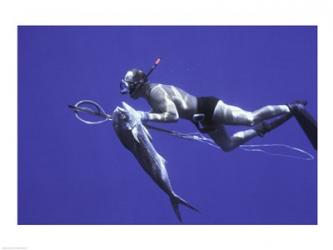 Diver With Dorado fish Cape San Lucas Mexico | Obraz na stenu