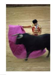 A matador and a bull at a Bullfight, Spain | Obraz na stenu