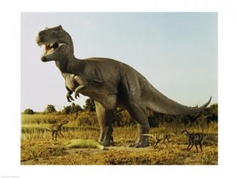 Tyrannosaur Stealing The Kill Thescelosaur From Dromeosaurs | Obraz na stenu