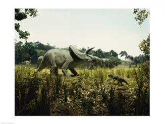Triceratops with a tyrannosaur and a torosaurus in a forest | Obraz na stenu