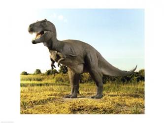 Close-up of a tyrannosaurus rex standing in a field | Obraz na stenu