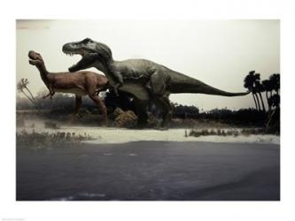 Side profile of a tyrannosaurus rex chasing an albertosaurus | Obraz na stenu