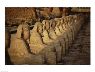 Avenue of the Sphinxes Karnak Temple Luxor Egypt | Obraz na stenu