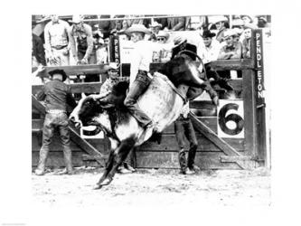 Side profile of a cowboy riding a bull at a rodeo | Obraz na stenu