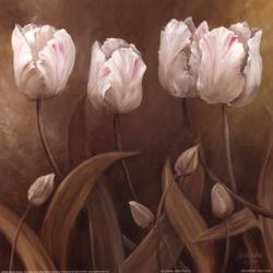 Sepia Tulips II | Obraz na stenu