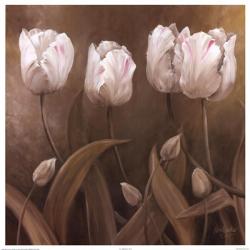 Sepia Tulips II | Obraz na stenu