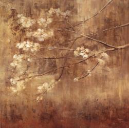 Blossom | Obraz na stenu